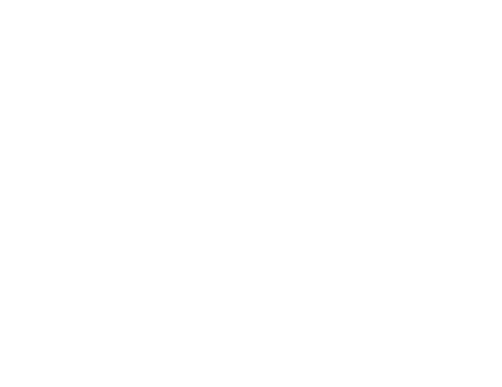 The Apostille Co